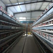 藁城區兵?；\具加工廠 供應產品