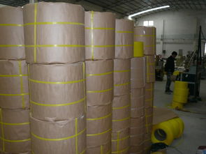 全自動環(huán)保打包帶 佛山市南海友仕達(dá)包裝制品廠引領(lǐng)綠色包裝新潮流