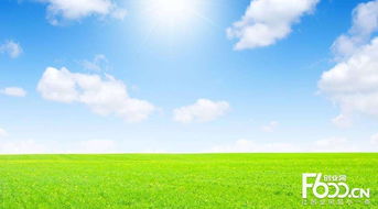 睿容空氣凈化器加盟指南 加盟費(fèi)、官網(wǎng)、條件流程及政策支持解析